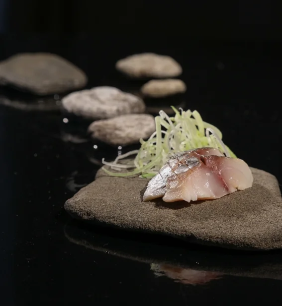 Poisson sur pierre, julienne de légumes